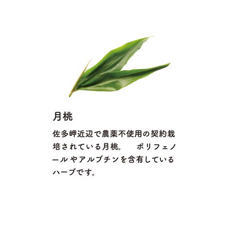 1217108  シャンプー｜【BOTANICANON（R)】 地産コスメ シトラスアロマ 詰替用